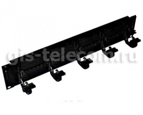 ����-������ ��������� � �������� � ������ �������������, 19", 2U, 24 ����� RJ45, ���. 5e, 110 IDC