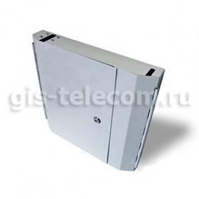 ����� ��������� W24